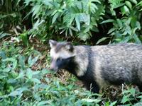 �@�r1